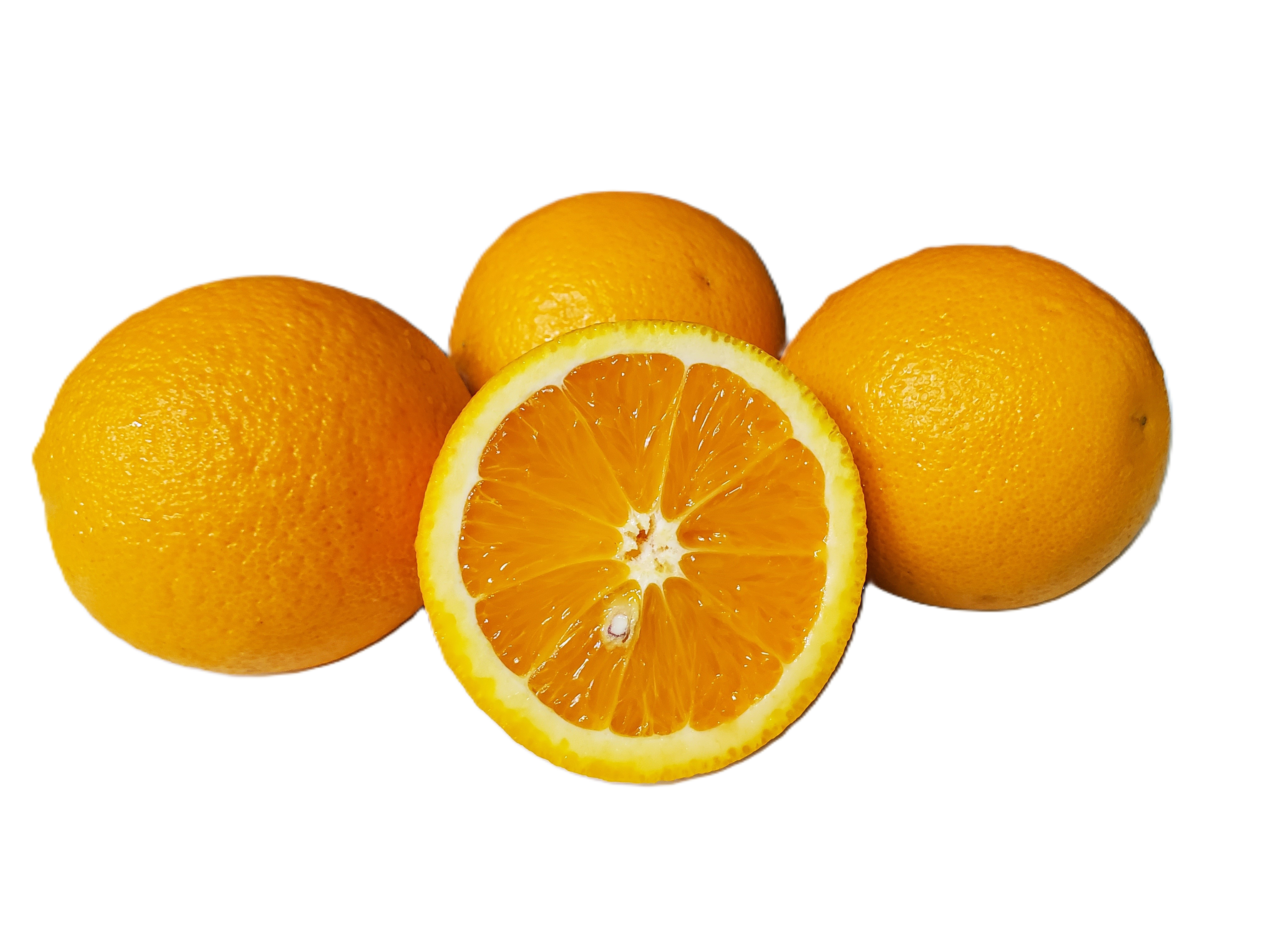 California Valencia Oranges - 5 Pounds with Shipping Included